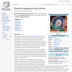 WIKIPEDIA – Fusarium oxysporum f.sp. cubene