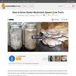 How to Grow Oyster Mushroom Spawn (Low Tech) : 9 Steps