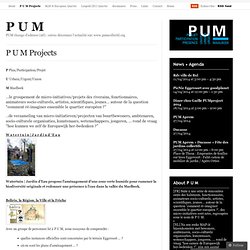 P U M Projects « P U M