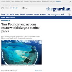 Tiny Pacific island nations create world's largest marine parks