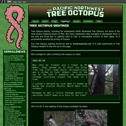 The Pacific Northwest Tree Octopus