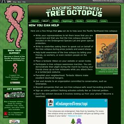 The Pacific Northwest Tree Octopus