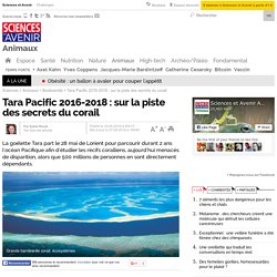 Tara Pacific 2016-2018 : sur la piste des secrets du corail