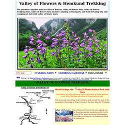 Valley of flowers tour packages india, Valley of Flowers Tours, Valley of flowers National Park, Valley of flowers information
