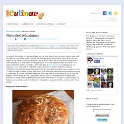 Pâine fără frământare (Ciabatta) - Blog Culinar