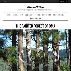 The Painted Forest of Oma