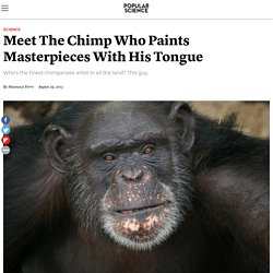 Meet The Chimp Who Paints Masterpieces With His Tongue