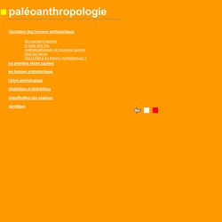 paleoanthro