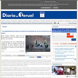 La paleobotánica arroja luz sobre los ecosistemas de los dinosaurios de Galve - Diario de Teruel