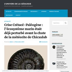 Crise Crétacé-Paléogène : l’écosystème marin était déjà perturbé avant la chute de la météorite de Chicxulub – L'univers de la géologie