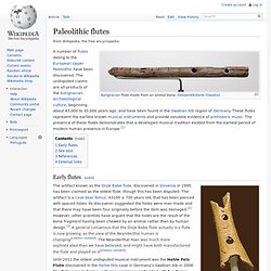 Paleolithic flutes