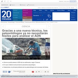 Gracias a una nueva técnica, los paleontólogos ya no necesitarán fósiles para analizar el ADN