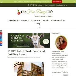 15 DIY Pallet Shed, Barn, and Building Ideas - The Free Range Life