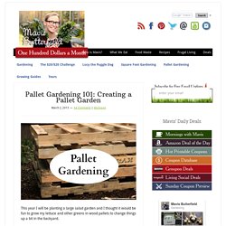 Pallet Gardening 101: Creating a Pallet Garden
