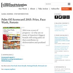 Palm Oil Scorecard 2015: Fries, Face Wash, Forests