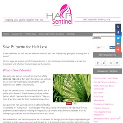 Saw Palmetto For Hair Loss - Find Out If It Works and the Dosage to Try