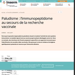 Paludisme : l’immunopeptidome au secours de la recherche vaccinale