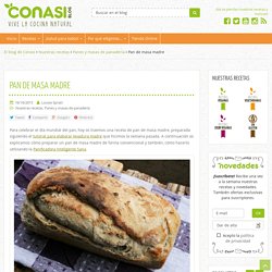 Pan de masa madre - Blog Conasi