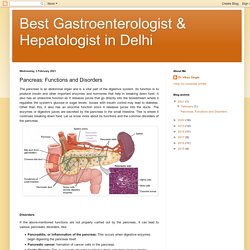 Pancreas: Functions and Disorders