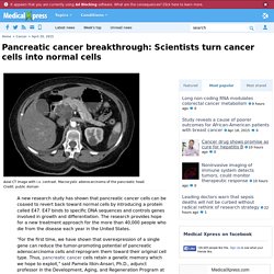 Pancreatic cancer breakthrough: Scientists turn cancer cells into normal cells