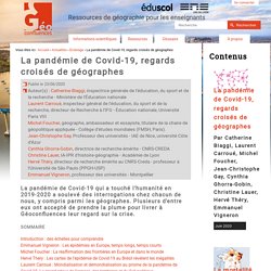 Articles sur le Covid-19 : voir article de Michel FOUCHER - Géoconfluences