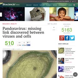 Pandoravirus: missing link discovered between viruses and cells