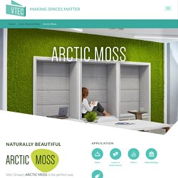 Preserved Reindeer Moss Wall