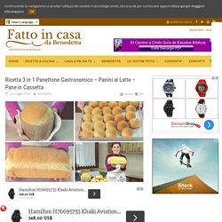 Ricetta 3 in 1 Panettone Gastronomico - Panini al Latte - Pane in Cassetta