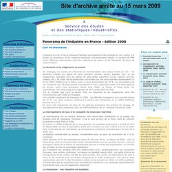 Sessi - Panorama de l'industrie en France 2008 : Cuir et chaussure