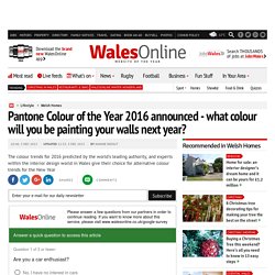 Pantone Colour of the Year 2016 announced - what colour will you be painting your walls next year?