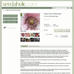 Papaver rhoeas 'Shirley Poppy' Seeds