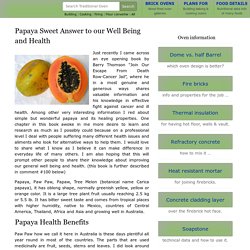 Papaya Sweet Answer to our Well Being and Health