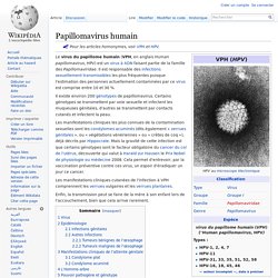 Papillomavirus humain