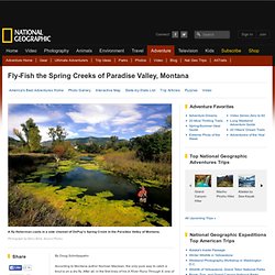 Fly-Fish the Paradise Valley Spring Creeks, Best American Adventures