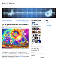 Can DMT Connect the Human Brain to a Parallel Universe?
