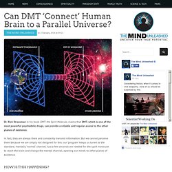 Can DMT ‘Connect’ Human Brain to a Parallel Universe?