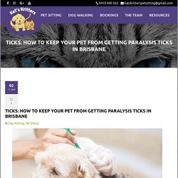 Keep your Pet from Getting Paralysis Ticks in Brisbane - Kat&Kritters