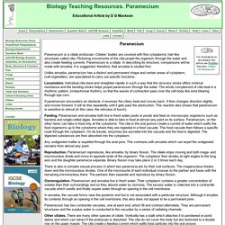 Paramecium, an introduction. Biology teaching resources by D G Mackean