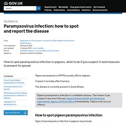 DEFRA 26/08/14 Guidance - Paramyxovirus infection: how to spot and report the disease