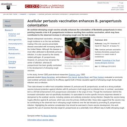Acellular pertussis vaccination enhances B. parapertussis colonization — CIDD