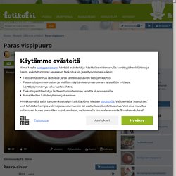 Paras vispipuuro - Resepti