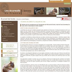 MNHN - LES ECUREUILS DE FRANCE - L'Écureuil de Corée et la maladie de Lyme