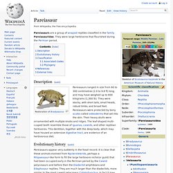 Pareiasaur