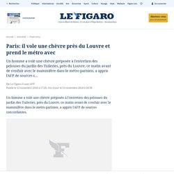 Paris: il vole une chèvre près du Louvre et prend le métro avec