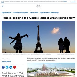 Paris is opening the world's largest urban rooftop farm