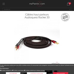 Câbles haut-parleurs Audioquest Rocket 33 - maPlatine.com