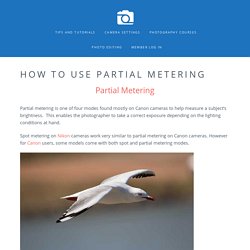 How To Use Partial Metering - SLR Photography Guide