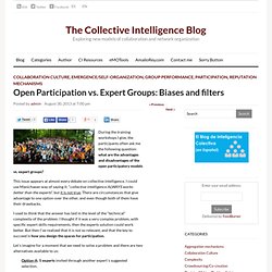 Open Participation vs. Expert Groups: Biases and filters - The Collective Intelligence Blog