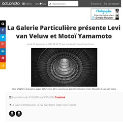 La Galerie Particulière présente Levi van Veluw et Motoï Yamamoto