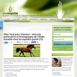 Aloe Vera pour chevaux : 5 cas particuliers et témoignages de l'Aloès